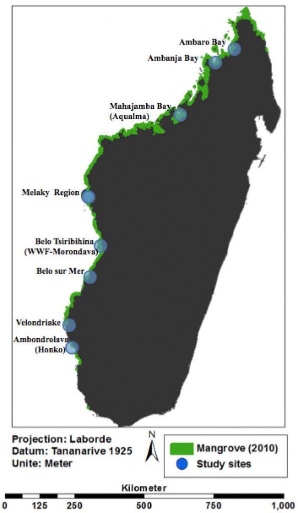 BV's Blue Forests sites in Madagascar