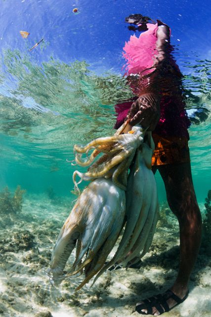 Octopus fisher in Andavadoaka