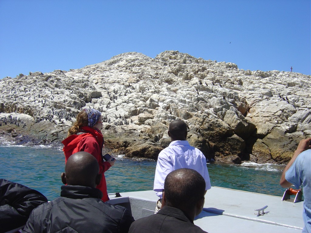 At the local MPA conserving the African penguin (seen here on the rock)