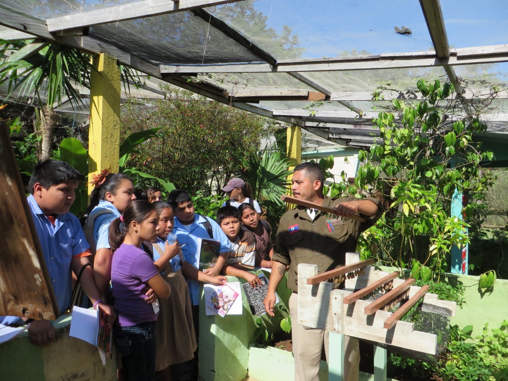 One of the Shipstern Rangers and guides explaining the lifecycle of butterflies and the dependence of each butterfly on different plant species for laying their eggs. 