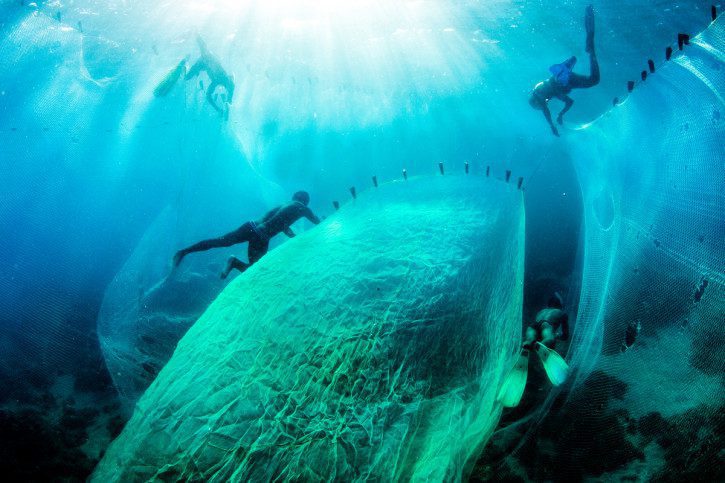 The introduction of modern fishing gear (such as this net), have driven fishing to unsustainable levels. | Photo: Garth Cripps