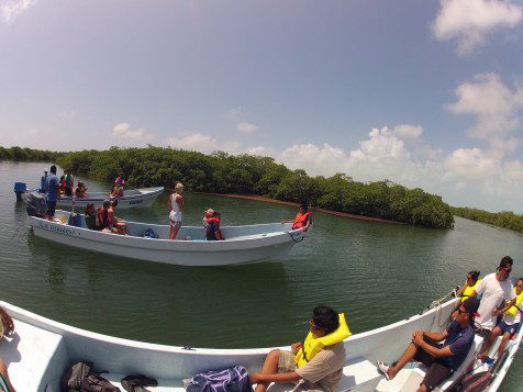 Floating silently next to a manatee resting hole, Field Scientist Anouk tells the group about the importance of these sites for the manatees of the Northern Belize Coastal Complex