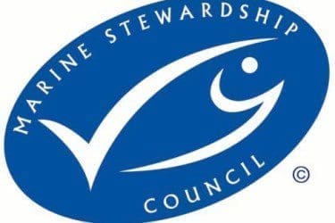 1. MSC logo