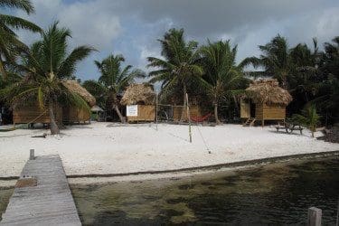 IMG_4362