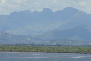 Ambanja_mangroves