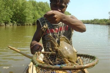 4. catched a big mud crab