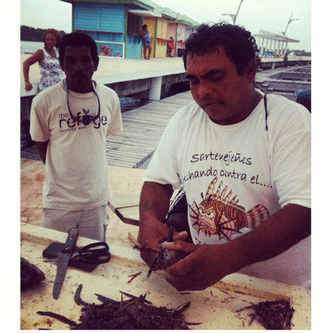 Eli Muñoz, a fisher from Sarteneja, removing spines from lionfish caught in Placencia