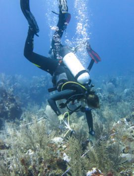 Underwater surveys, Belize