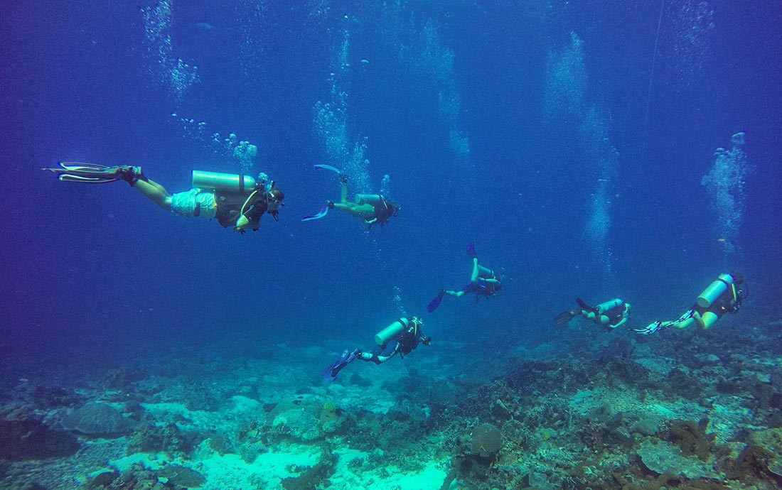 A group dive