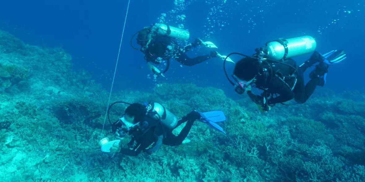 Armindo Marques; Timor-Leste; underwater; scuba diving; monitoring