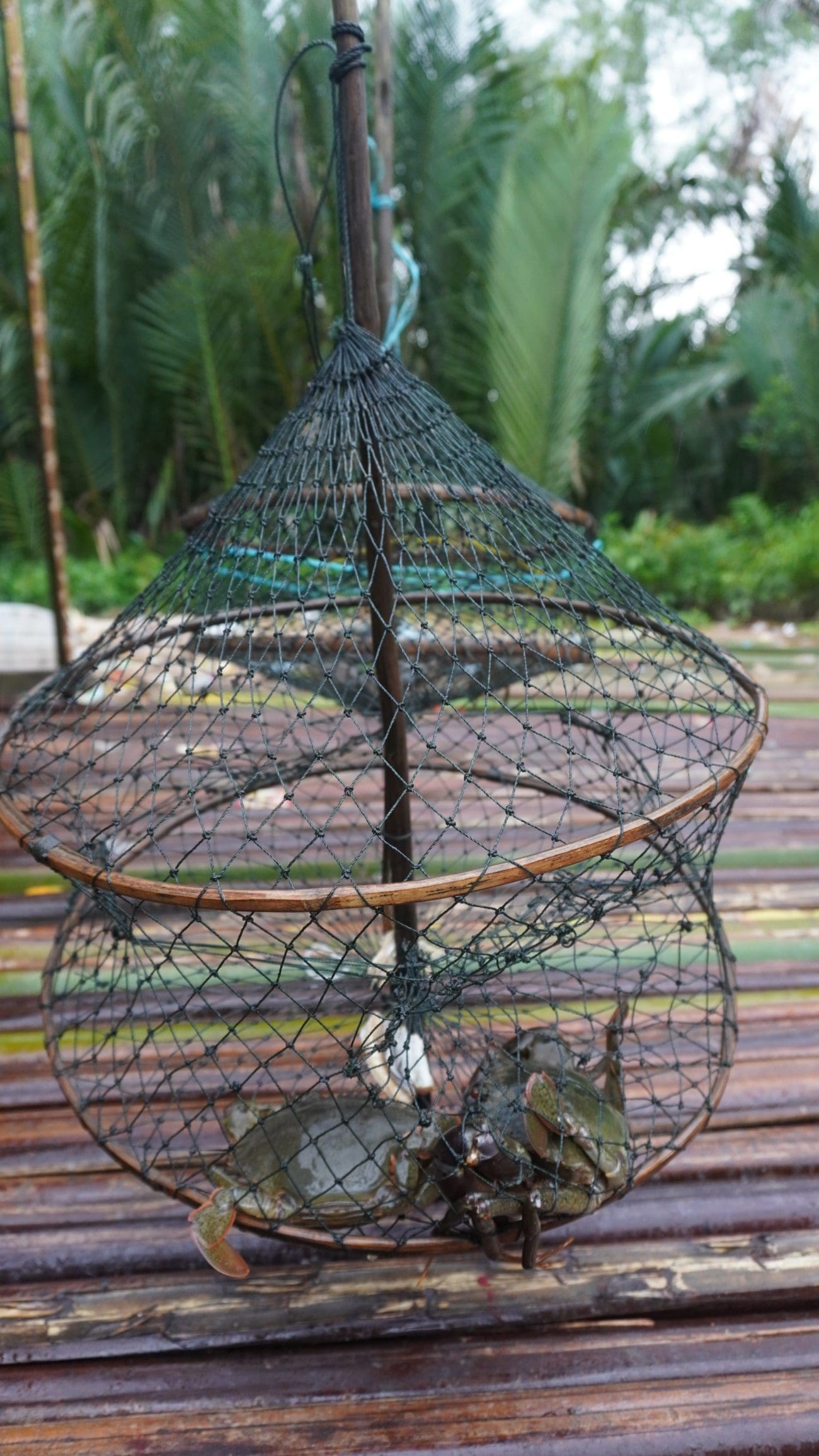 Launching the first temporary mud crab fishery closure in Sapat