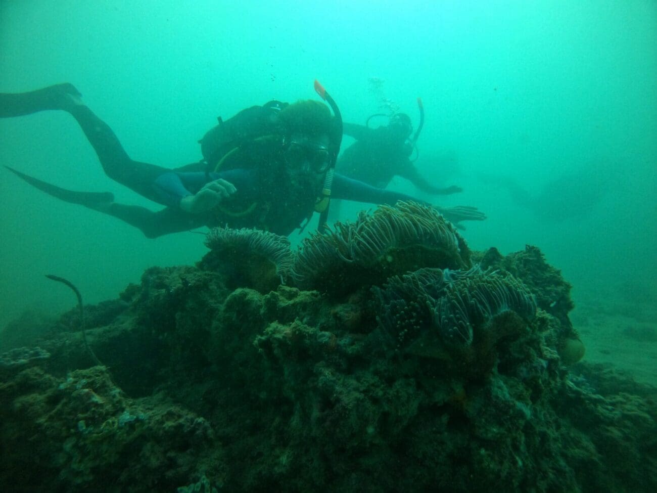 Graham Ragan Traditional fishers trained as certified divers - Blue Ventures ...
